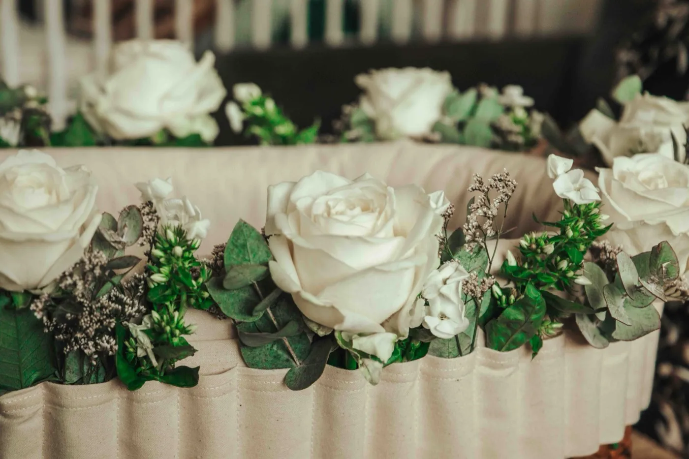 Witte rozen, close-up